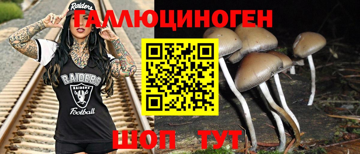 Галлюциногенные грибы мицелий  Галлюциногенные грибы Psilocybine cubensis  Вход с VPN  Нижневартовск 